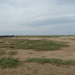 Satılır Torpaq Sumqayıt 3