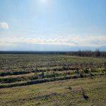 Satılır Torpaq, Buzovna, Xəzər rayonu 1