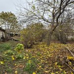 Satılır Torpaq Qəbələ 6