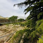 Продажа Объект, Туркян, Хязяр район 25