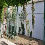 Kirayə (günlük) 3 otaqlı Bağ evi, Mərdəkan, Xəzər rayonu 3