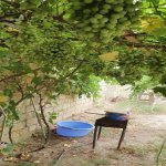 Satılır 4 otaqlı Bağ evi, Koroğlu metrosu, Pirşağı qəs., Sabunçu rayonu 50