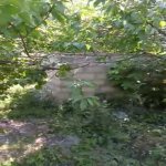 Satılır 2 otaqlı Həyət evi/villa Ağdaş 5