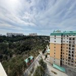 Kirayə (aylıq) 2 otaqlı Yeni Tikili Sumqayıt 9