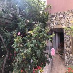 Satılır 8 otaqlı Həyət evi/villa, Buzovna, Xəzər rayonu 10