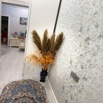 Продажа 2 комнатная Новостройка, м. Ахмедли метро, Хетаи район 9