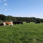 Продажа Объект Хачмаз 4