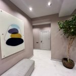 Satılır 3 otaqlı Yeni Tikili, Nəriman Nərimanov metrosu, Nərimanov rayonu 13