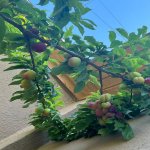 Продажа 4 комнат Дача, Хязяр район 26