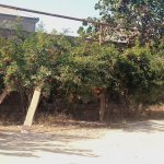Satılır 4 otaqlı Həyət evi/villa, Binə qəs., Xəzər rayonu 15