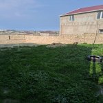 Satılır Torpaq, Saray, Abşeron rayonu 9