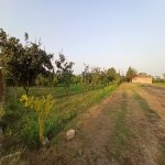 Satılır Obyekt Salyan 10