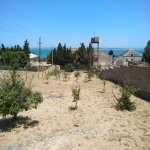 Satılır Torpaq, Xəzər rayonu 3
