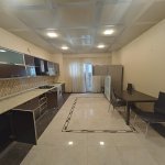 Kirayə (aylıq) 2 otaqlı Yeni Tikili, 28 May metrosu, Heydər Əliyev Mərkəzi, Nərimanov rayonu 10