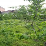 Satılır 4 otaqlı Həyət evi/villa Quba 23