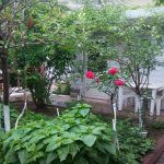 Satılır 3 otaqlı Həyət evi/villa, Həzi Aslanov metrosu, Əhmədli, Xətai rayonu 12