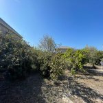 Satılır Torpaq, Əhmədli metrosu, Xətai rayonu 16