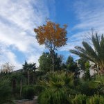 Satılır 7 otaqlı Həyət evi/villa, Mərdəkan, Xəzər rayonu 10