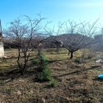 Satılır Torpaq, Novxanı, Abşeron rayonu 2