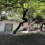 Kirayə (aylıq) Obyekt, Nəriman Nərimanov metrosu, Montin qəs., Nərimanov rayonu 5
