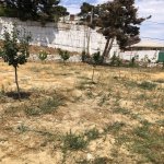 Satılır Torpaq, Badamdar qəs., Səbail rayonu 1