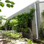 Kirayə (aylıq) 7 otaqlı Həyət evi/villa, Mərdəkan, Xəzər rayonu 9