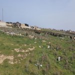 Satılır Torpaq, Ramana qəs., Sabunçu rayonu 3