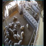 Продажа Объект, Зиря, Академия Авиации, Хязяр район 3