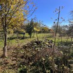 Satılır Torpaq Şamaxı 3