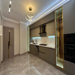 Продажа 4 комнатная Новостройка, м. Гянджлик метро, Насими район 5