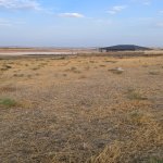 Продажа Участок, Сарай, Абшерон район 7