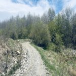 Satılır Torpaq Şamaxı 4
