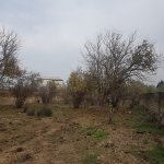 Satılır Torpaq, Novxanı, Abşeron rayonu 23