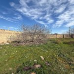 Satılır Torpaq, Məhəmmədli, Abşeron rayonu 3