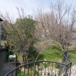 Satılır 2 otaqlı Bağ evi, Novxanı, Abşeron rayonu 16