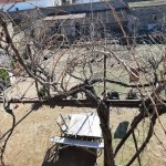Satılır 7 otaqlı Bağ evi, Şüvəlan, Xəzər rayonu 6