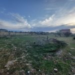 Satılır Torpaq, Goradil, Abşeron rayonu 1