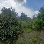 Продажа Участок, пос. Маштага, Сабунчу район 8