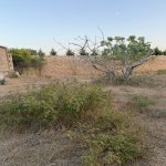 Продажа Участок, пос. Нардаран, Сабунчу район 3