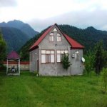 Kirayə (günlük) 4 otaqlı Həyət evi/villa Qəbələ 1