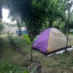 Kirayə (günlük) 3 otaqlı Həyət evi/villa Qəbələ 13