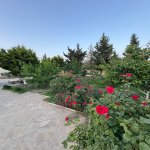 Kirayə (aylıq) 3 otaqlı Həyət evi/villa, Novxanı, Abşeron rayonu 5