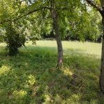 Продажа Участок Гябяля 4