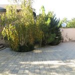 Kirayə (aylıq) 6 otaqlı Bağ evi, Bilgəh qəs., Sabunçu rayonu 5