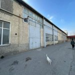 Kirayə (aylıq) Obyekt, Binəqədi qəs., Binəqədi rayonu 19