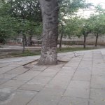 Satılır Torpaq, Gənclik metrosu, Nərimanov rayonu 4