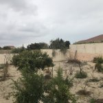 Satılır 4 otaqlı Bağ evi, Azadlıq metrosu, Pirşağı qəs., Sabunçu rayonu 6