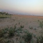 Satılır Torpaq Qəbələ 1