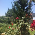 Kirayə (günlük) 4 otaqlı Həyət evi/villa Lənkəran 8