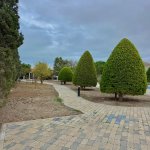 Продажа 5 комнатная Дача, Шювалан, Хязяр район 23